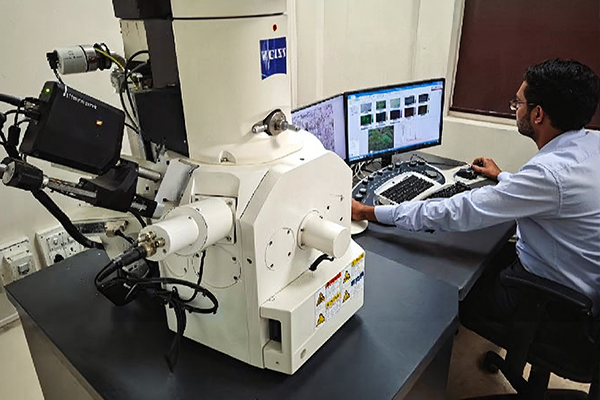 Automation and Digital Photo