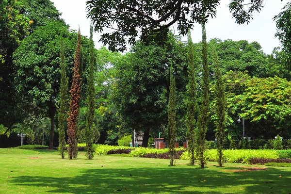 Automation and Digital Photo